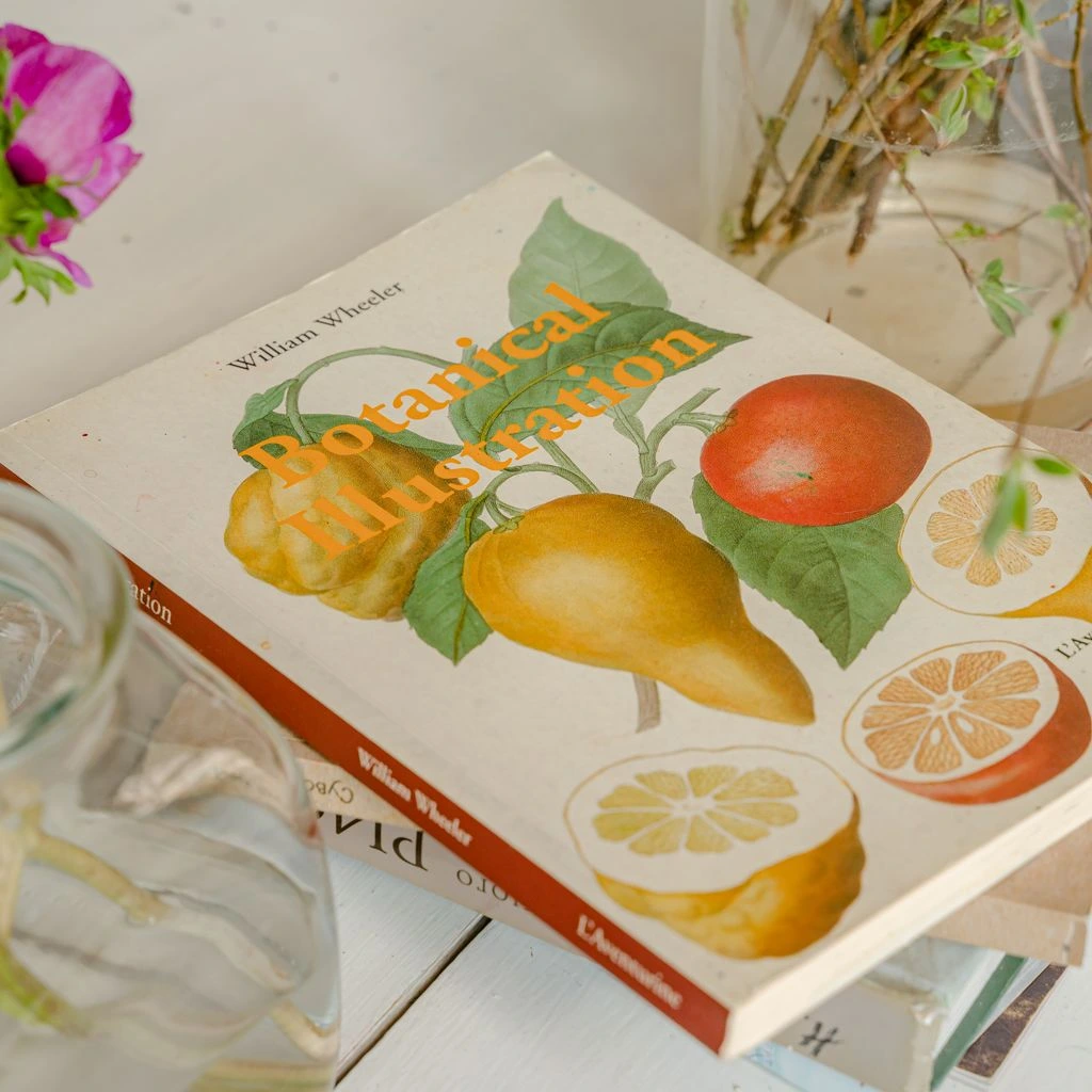 Botanical line-art of a pomegranate branch, orchid, and jade stem — a decorative motif used throughout the Tao of Venus editorial system.